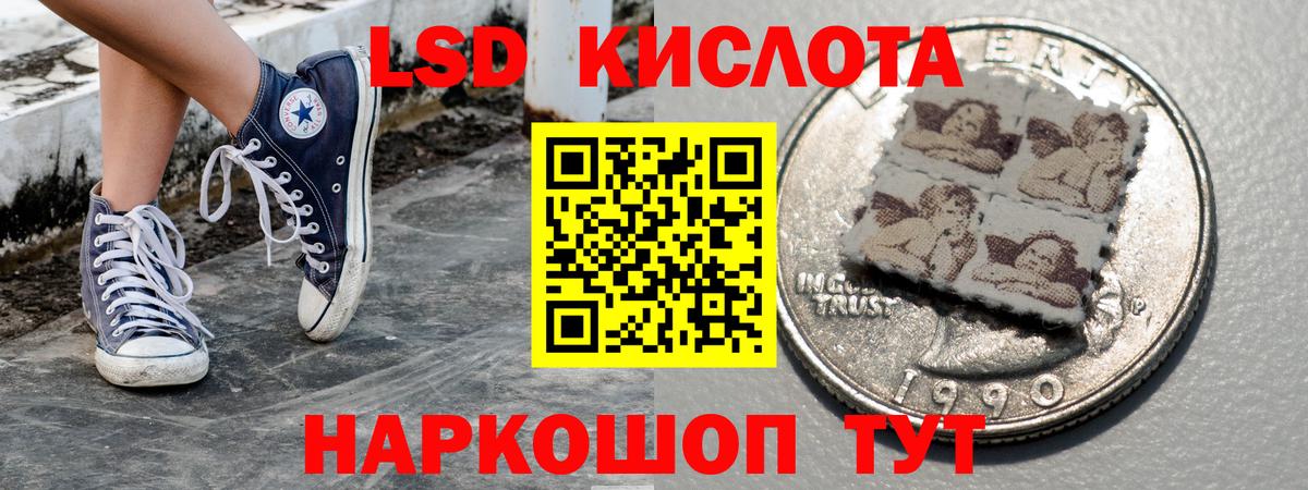МЕФ Петрозаводск