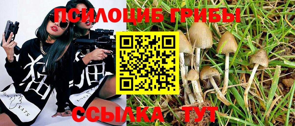 Петрозаводск  Псилоцибиновые грибы Magic Shrooms  Вход с VPN 